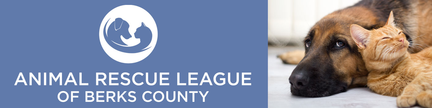 Logo and Animal Photo